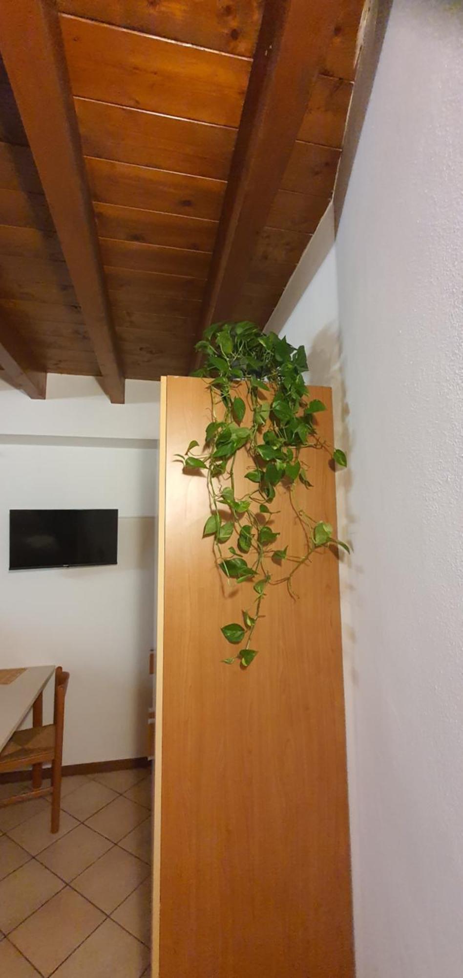 Bnbg - Ronzoni Bergamo Exteriér fotografie